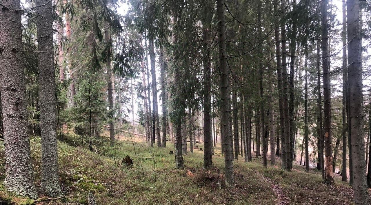 земля р-н Выборгский г Выборг р-н Сайменский фото 5