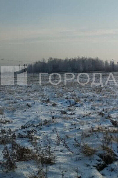 земля р-н Новосибирский с Марусино мкр Лебяжье улица Дружбы фото 1