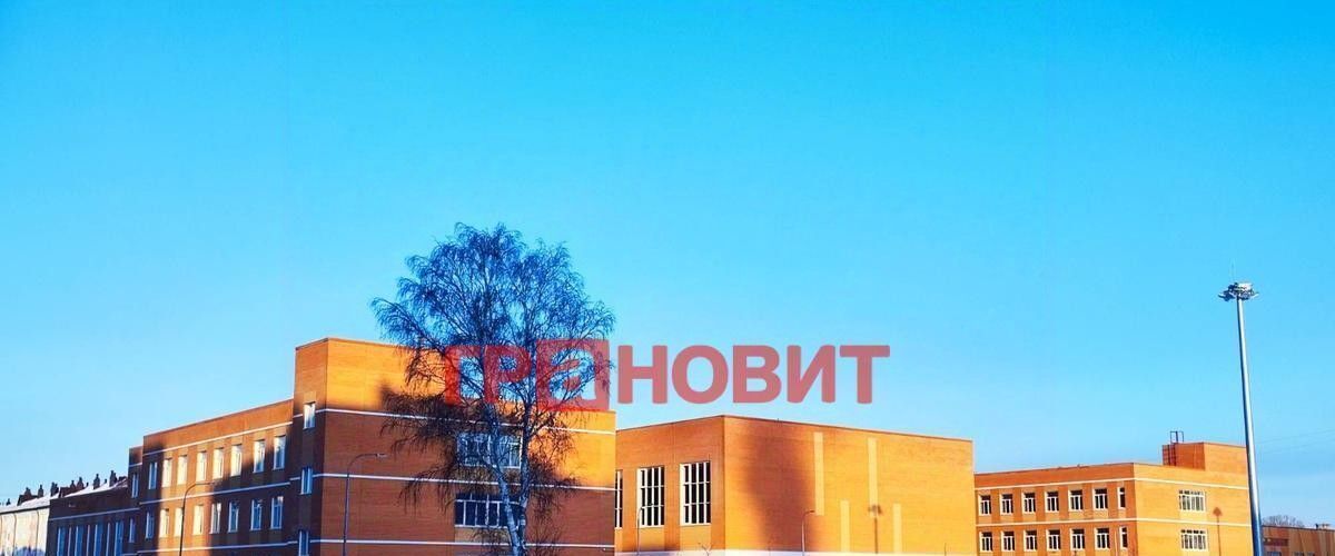 квартира р-н Новосибирский п Элитный ул Венская 11 микрорайон «Фламинго» сельсовет, Мичуринский фото 11