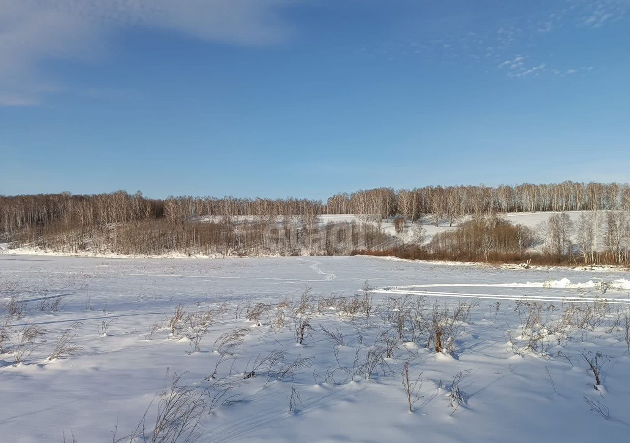 земля р-н Новосибирский с Гусиный Брод Раздольненский сельсовет, мкр-н Идиллия, Барышево фото 8