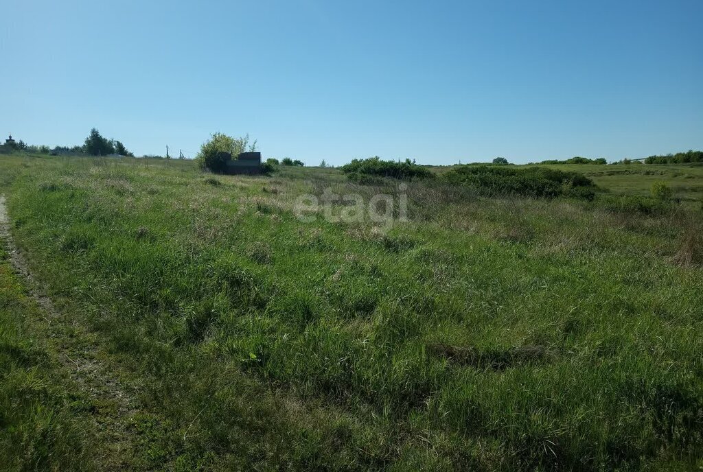 земля р-н Балашовский с Хоперское ул Горная фото 4