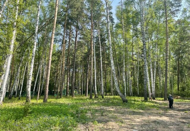 земля р-н Заельцовский фото