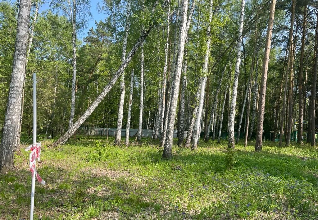 земля г Новосибирск р-н Заельцовский фото 2