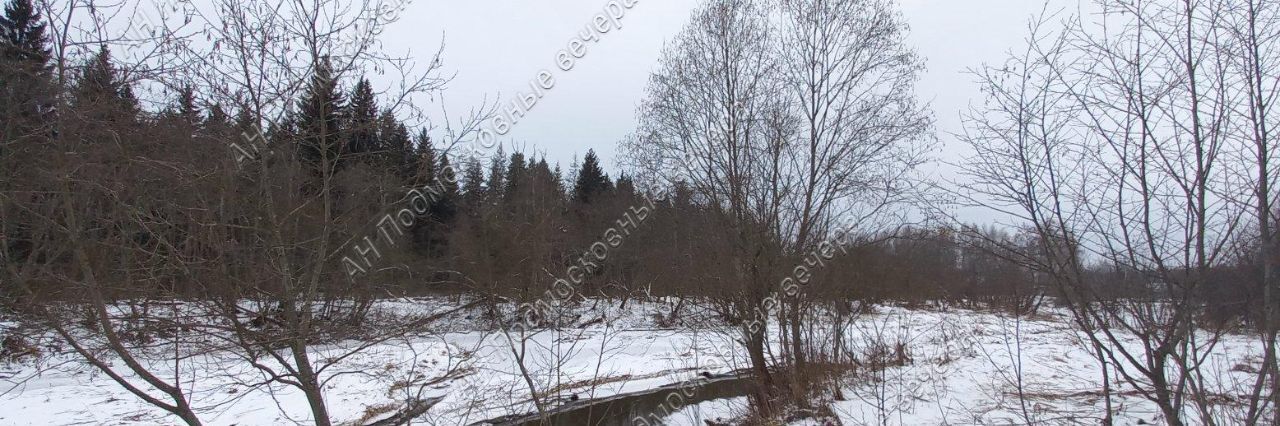 земля городской округ Можайский ДНП, Искона фото 2