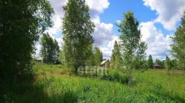 земля р-н Новосибирский п Шадриха Барышевский сельсовет фото 1