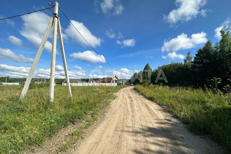 земля р-н Нижнетавдинский село Тюнево фото 4