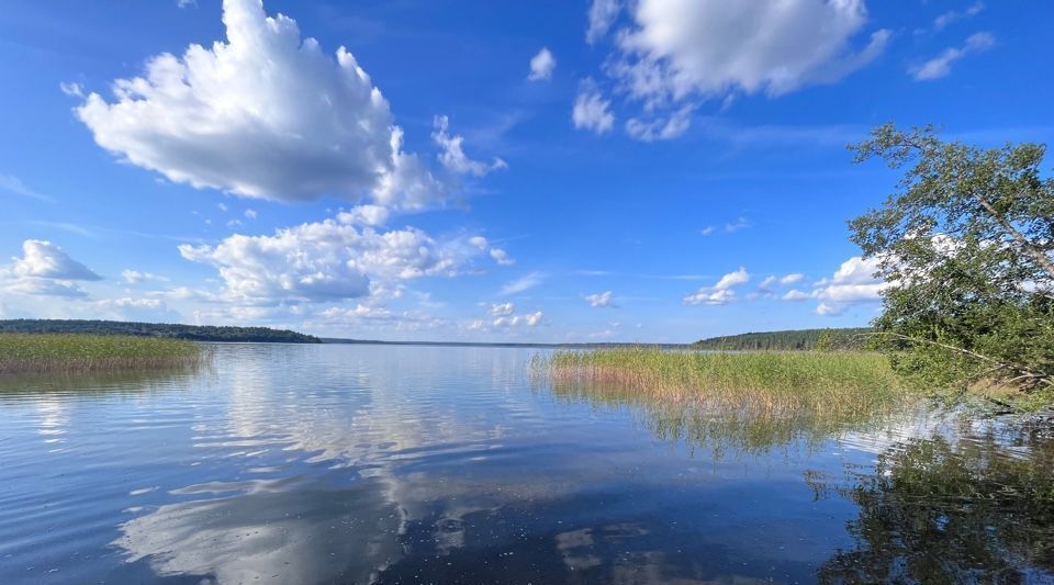 земля р-н Приозерский п Красноармейское ул Качаловская с пос, Громовское фото 11