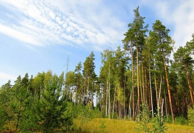 р-н Приволжский Республика Татарстан Татарстан, жилой комплекс Брайт Ленд фото