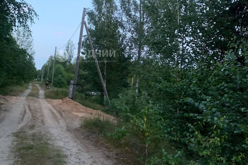 земля г Чебоксары городской округ Чебоксары, СНТ Сосенка фото 10