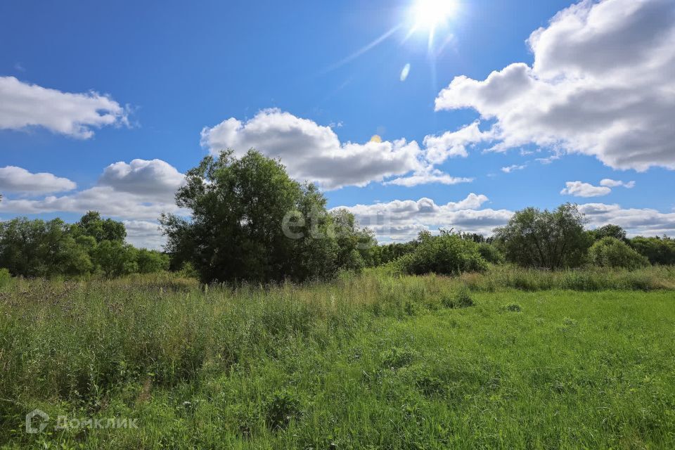 земля г Хабаровск СНТ Аквариум, городской округ Хабаровск фото 5