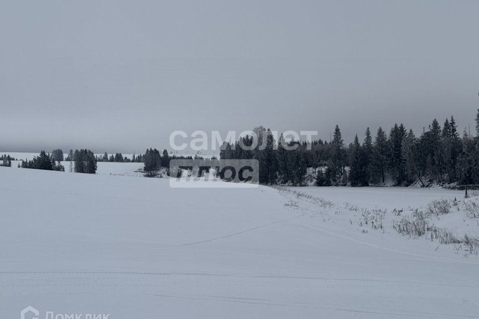 земля р-н Завьяловский д Каменное ул Трактовая 3 фото 5