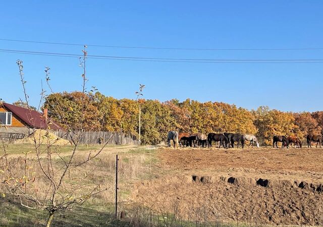 земля ст-ца Новодмитриевская Новодмитриевское сельское поселение фото