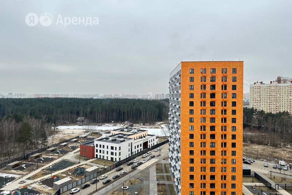 квартира городской округ Ленинский рп Дрожжино ул Южная 16/2 фото 10