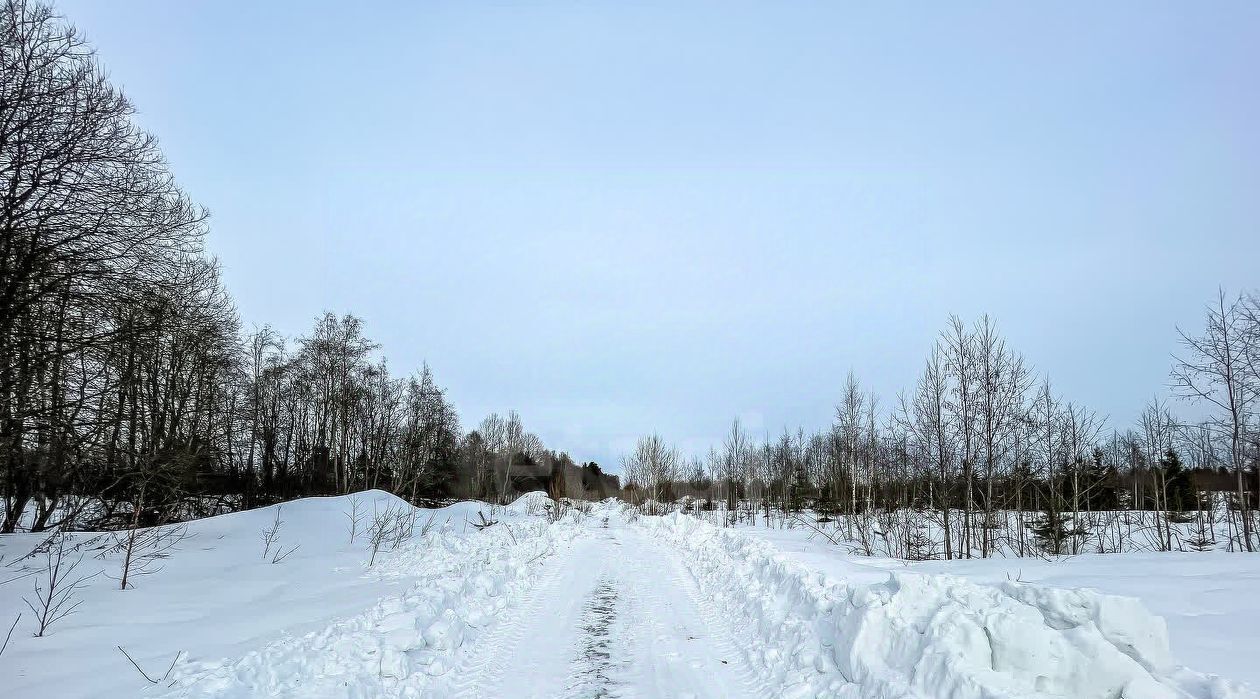 земля р-н Гатчинский тер Зяблики ДНП фото 1