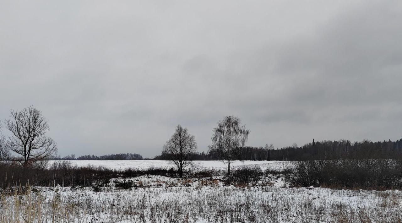 земля городской округ Чехов д Голыгино фото 1