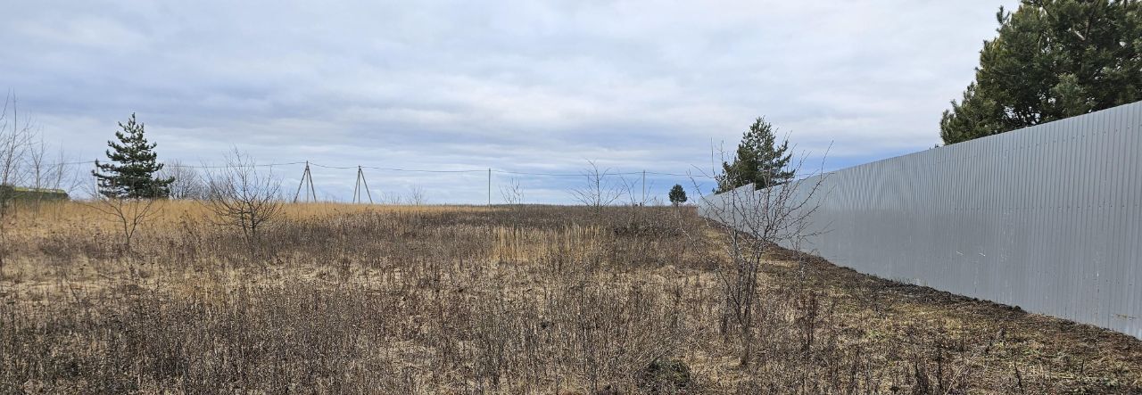 земля городской округ Луховицы п Фруктовая фото 1