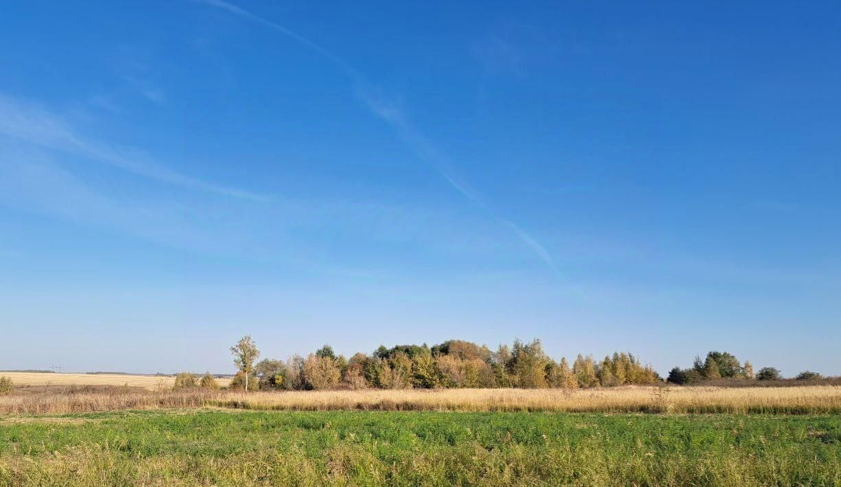 земля городской округ Кашира п Никулино фото 1