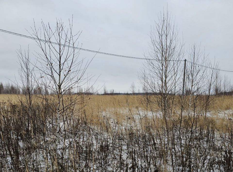 земля городской округ Луховицы п Совхоза Астапово фото 2