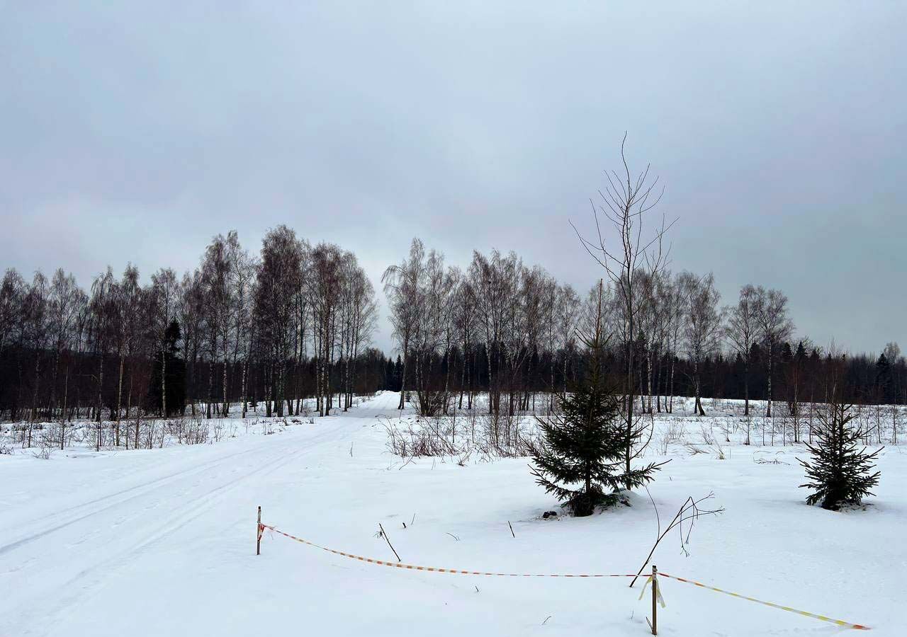 земля городской округ Дмитровский д Шихово 34 км, Икша, Рогачёвское шоссе фото 6