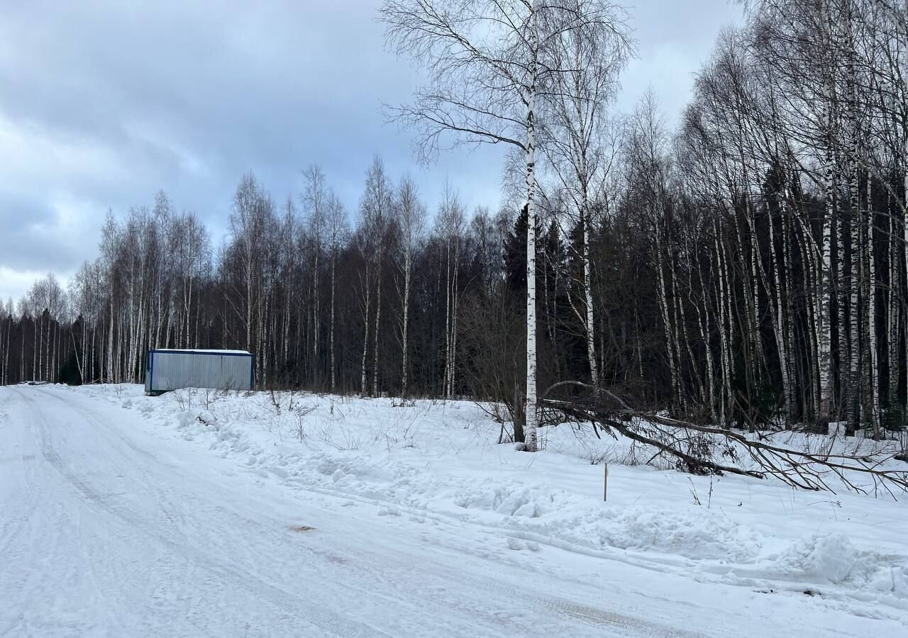 земля городской округ Сергиево-Посадский г Краснозаводск 71 км, территория Шубино-Яркое, Ярославское шоссе фото 9