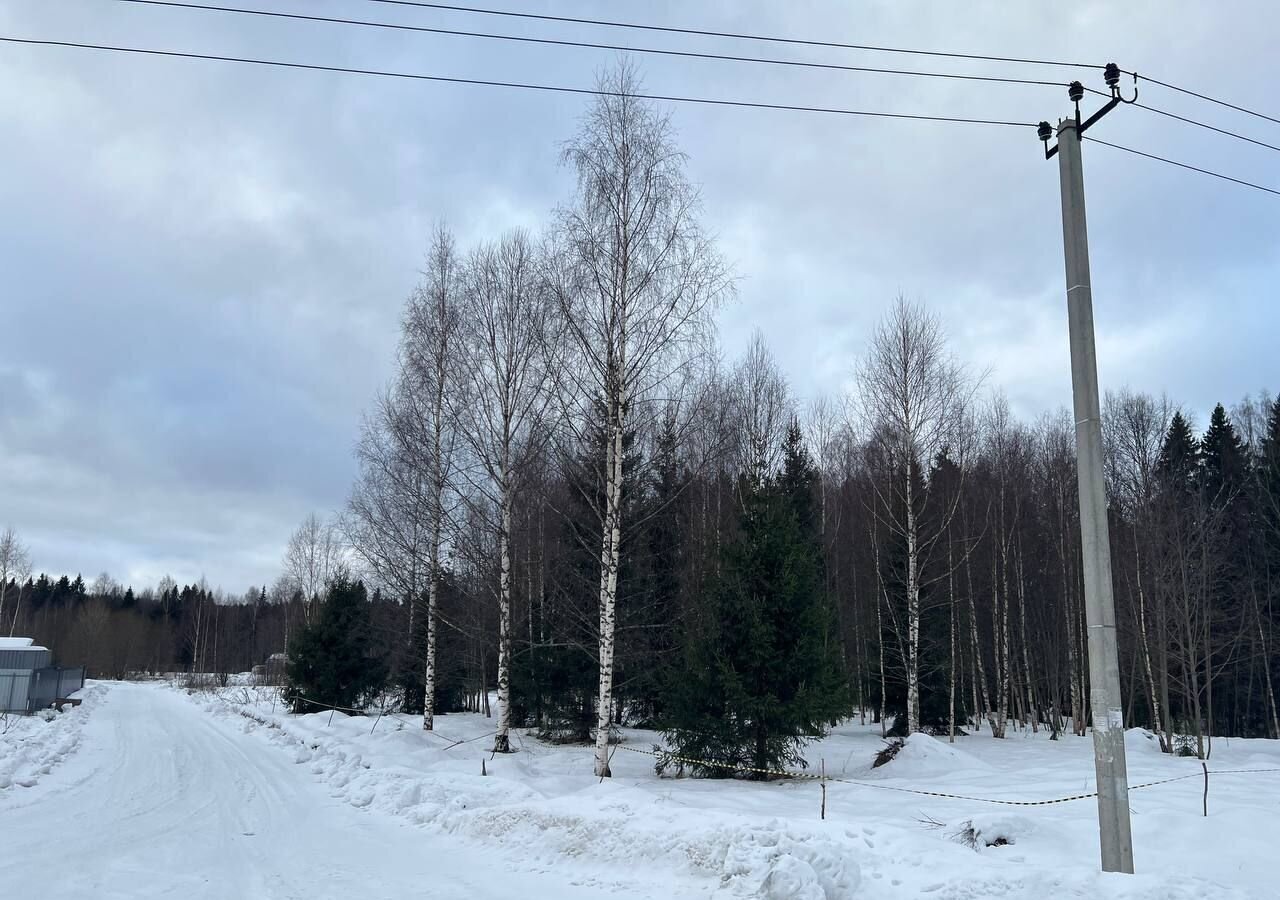 земля городской округ Сергиево-Посадский г Краснозаводск 71 км, территория Шубино-Яркое, Ярославское шоссе фото 10