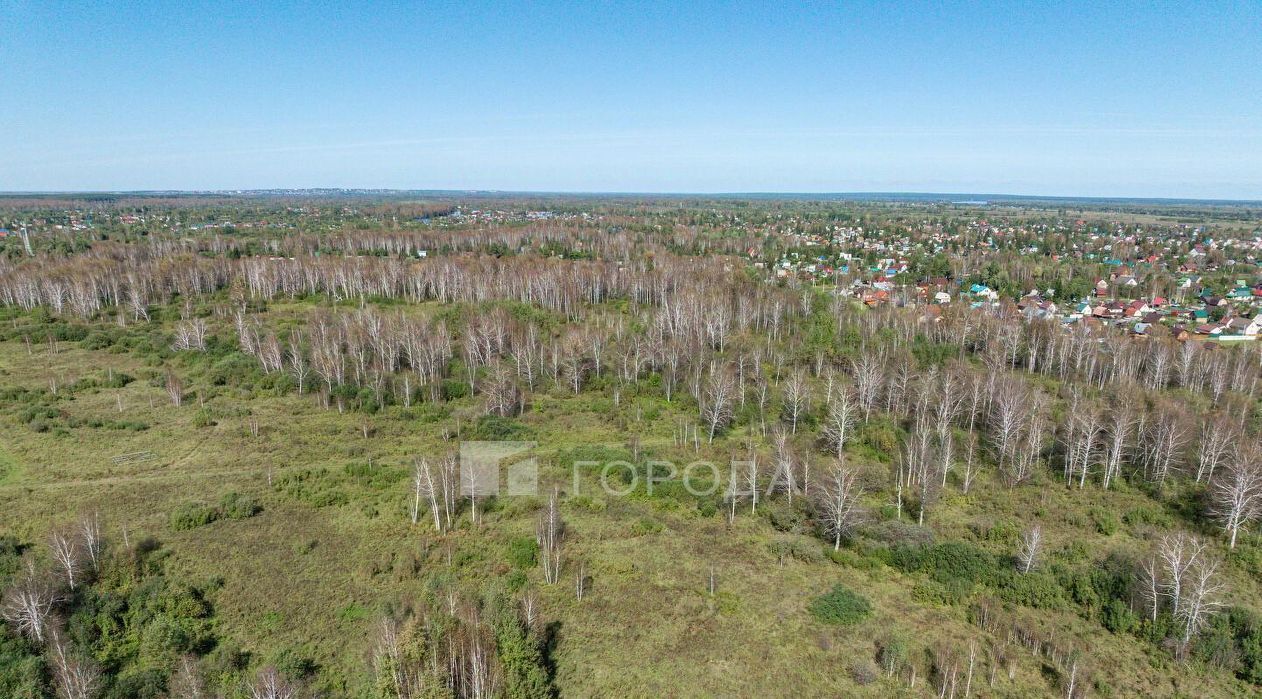 земля г Новосибирск снт Волна ул Береговая 16 ДНТ, Коченевский район фото 10