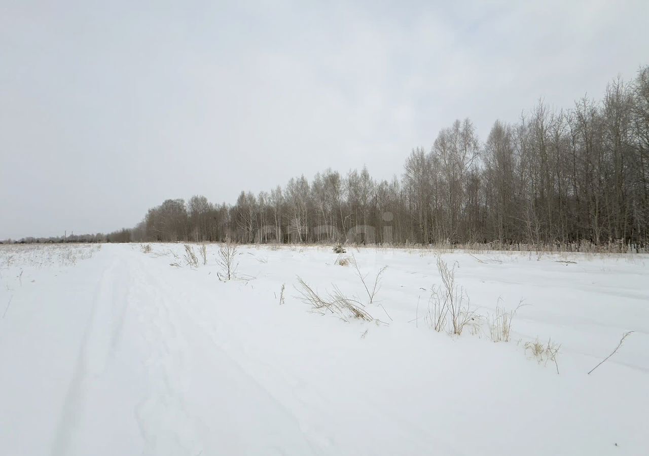 земля р-н Тюменский д Криводанова коттеджный пос. Станица Криводанова, Каскара фото 10