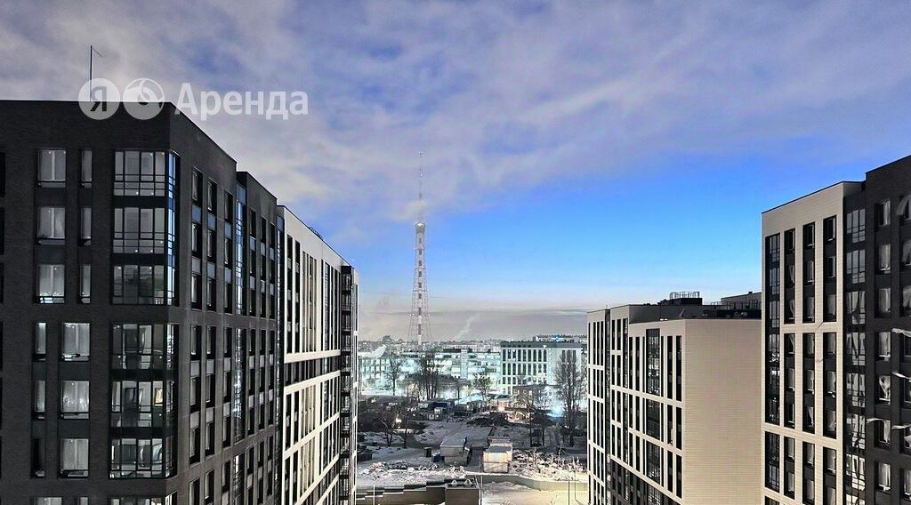 квартира г Санкт-Петербург метро Лесная ул Белоостровская 10к/1 фото 9