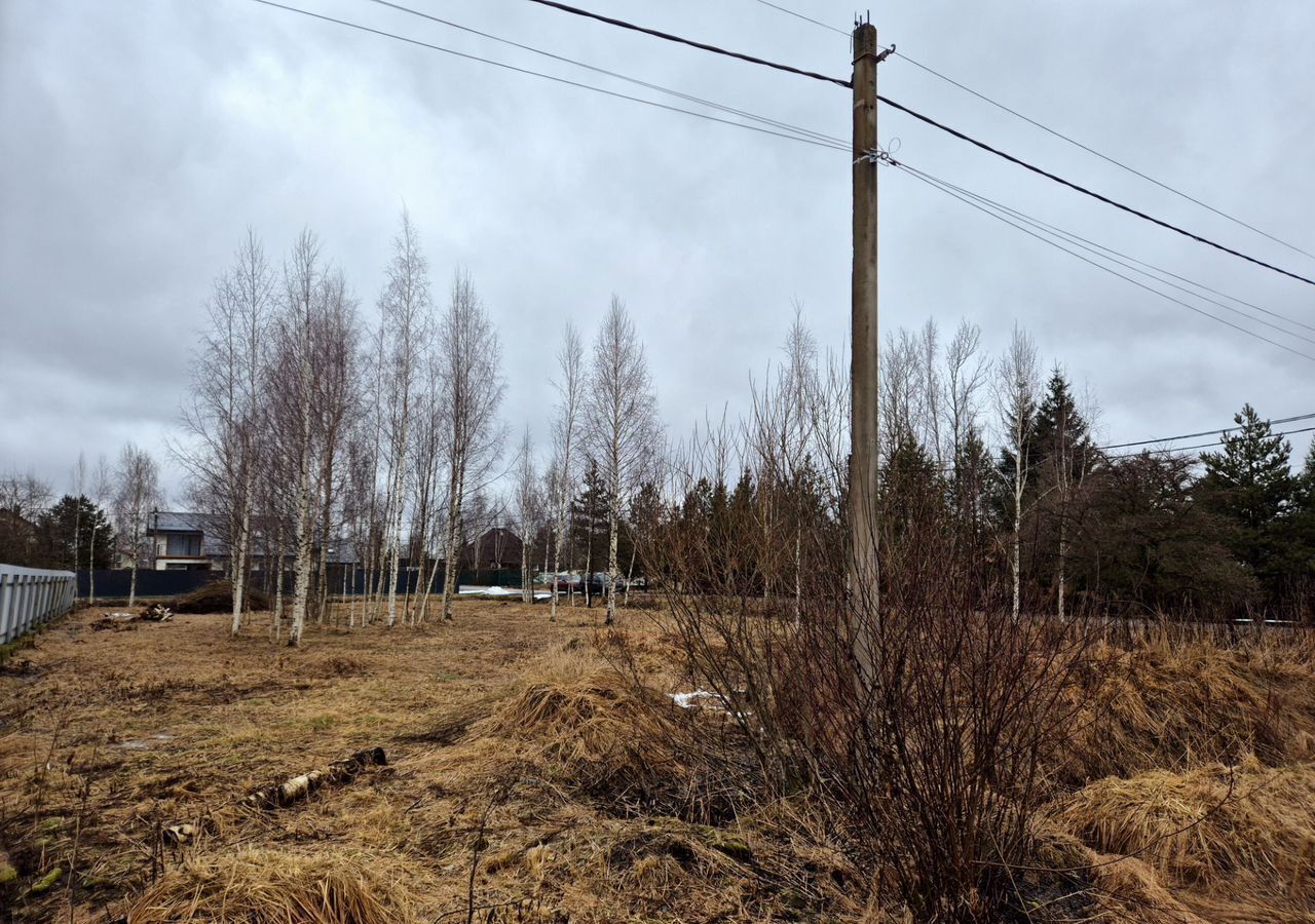 земля г Павловск снт Звездочка р-н Пушкинский Московское шоссе, 19 км, 1173 фото 2