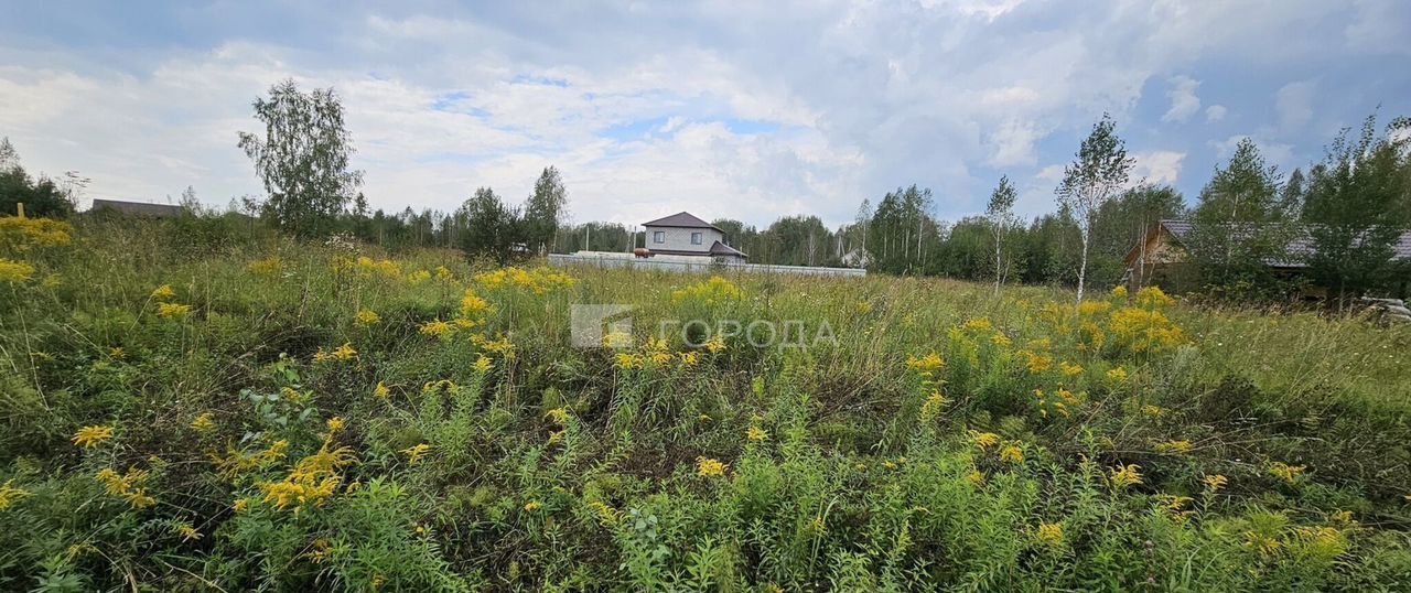 земля р-н Новосибирский п Двуречье Барышевский сельсовет, Барышево фото 1