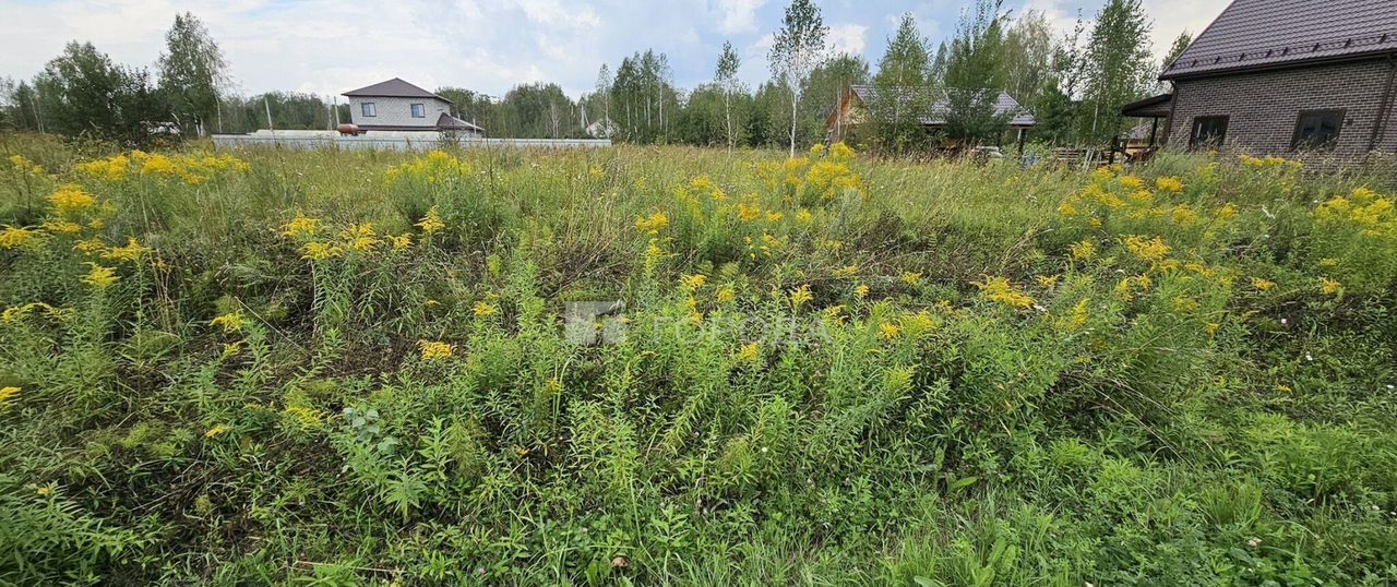 земля р-н Новосибирский п Двуречье Барышевский сельсовет, Барышево фото 5