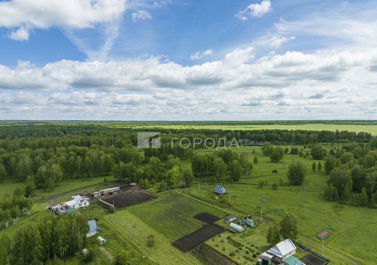 земля р-н Тогучинский с Репьево ул Инская Репьевский сельсовет, Сокур фото 14