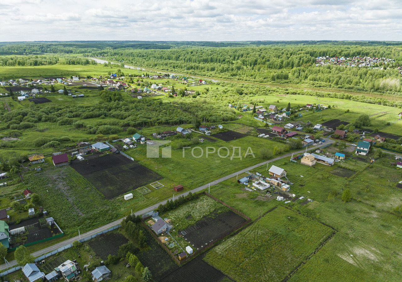 земля р-н Тогучинский с Репьево ул Магистральная Репьевский сельсовет, Сокур фото 29