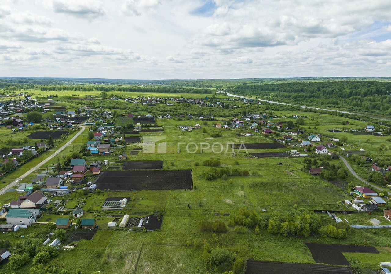 земля р-н Тогучинский с Репьево ул Инская Репьевский сельсовет, Сокур фото 24