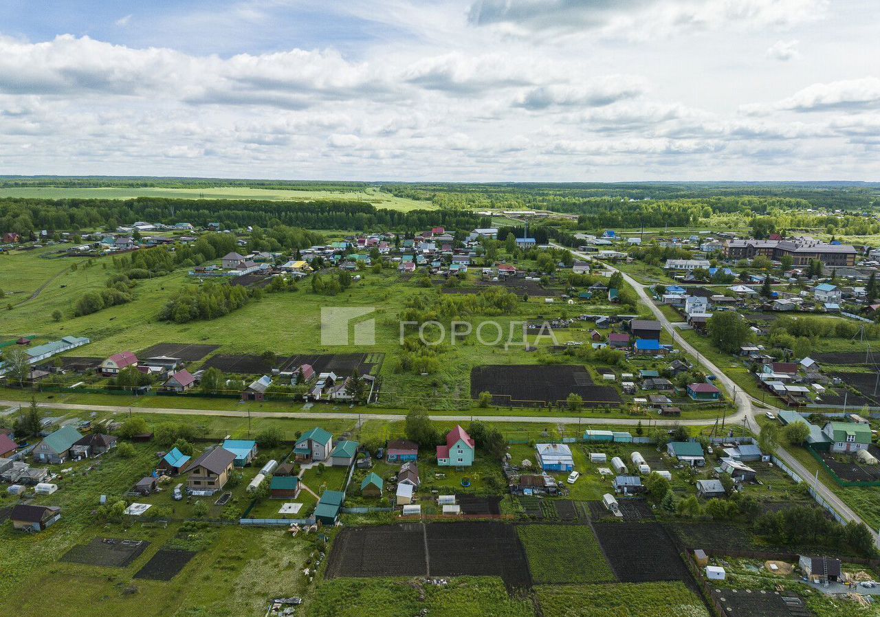 земля р-н Тогучинский с Репьево ул Инская Репьевский сельсовет, Сокур фото 27