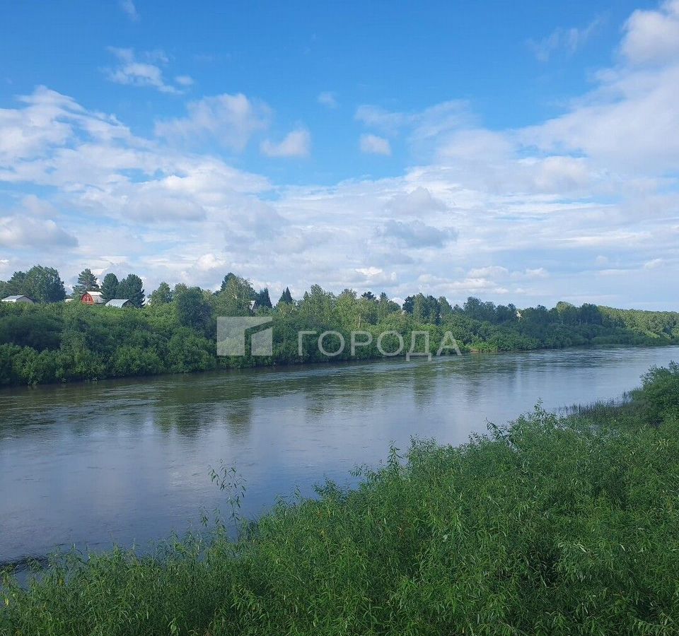 земля р-н Тогучинский с Репьево Репьёвский сельсовет, Сокур фото 11