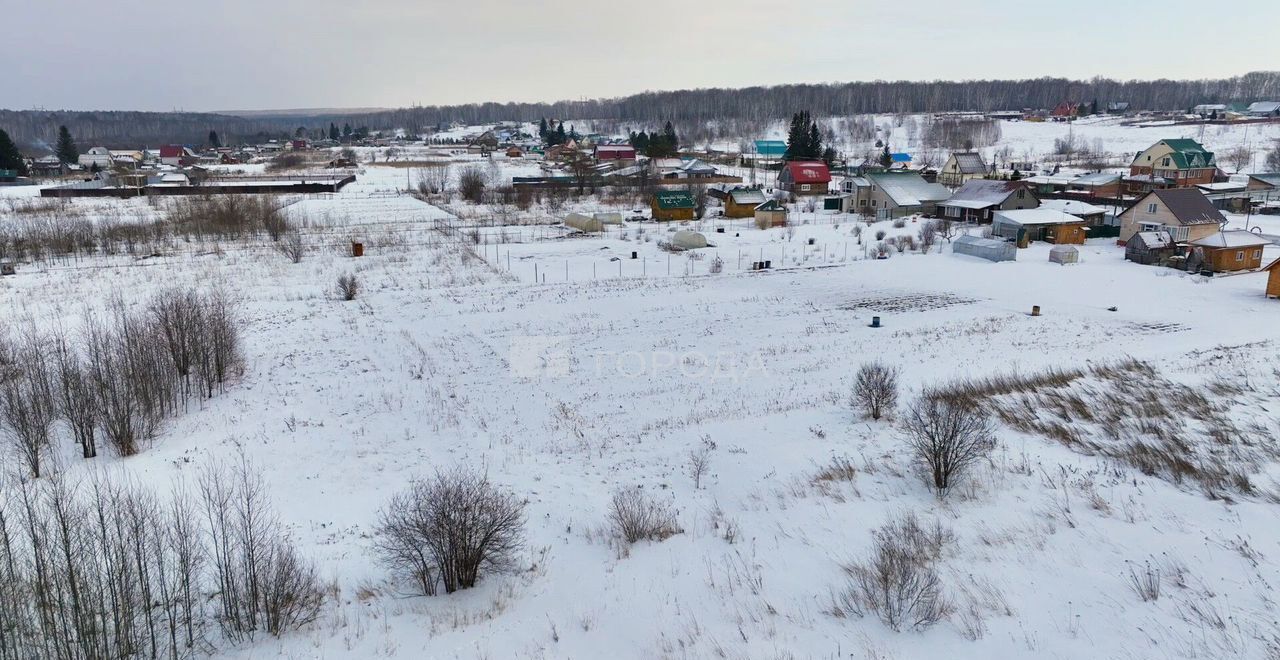 земля р-н Тогучинский с Репьево ул Инская Репьевский сельсовет, Сокур фото 37