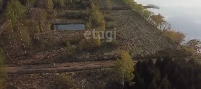 земля р-н Некрасовский д Новые Ченцы сельское поселение Некрасовское фото 2