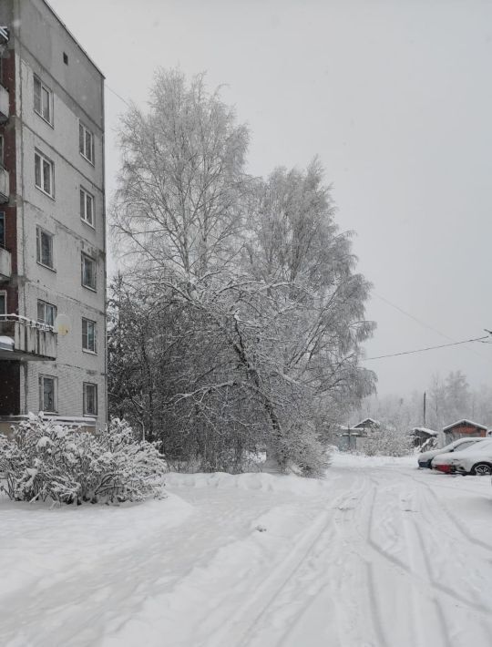 квартира р-н Тосненский Рябовское городское поселение, Рябово городской поселок, ул. Ленинградская, 5 фото 19