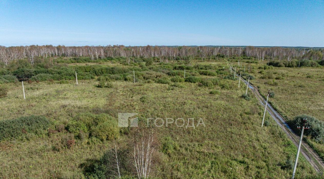 земля ДНТ, Коченевский район, Волна, ул. Озерная фото 11