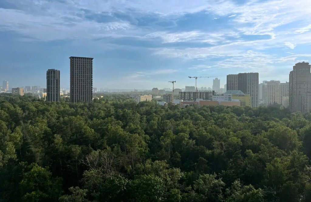 квартира г Москва метро Строгино ЖК «Квартал Строгино» к 2, Московская область, Красногорск фото 6