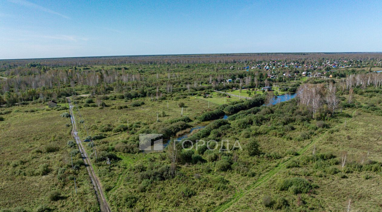 земля ДНТ, Коченевский район, Волна, ул. Озерная фото 20