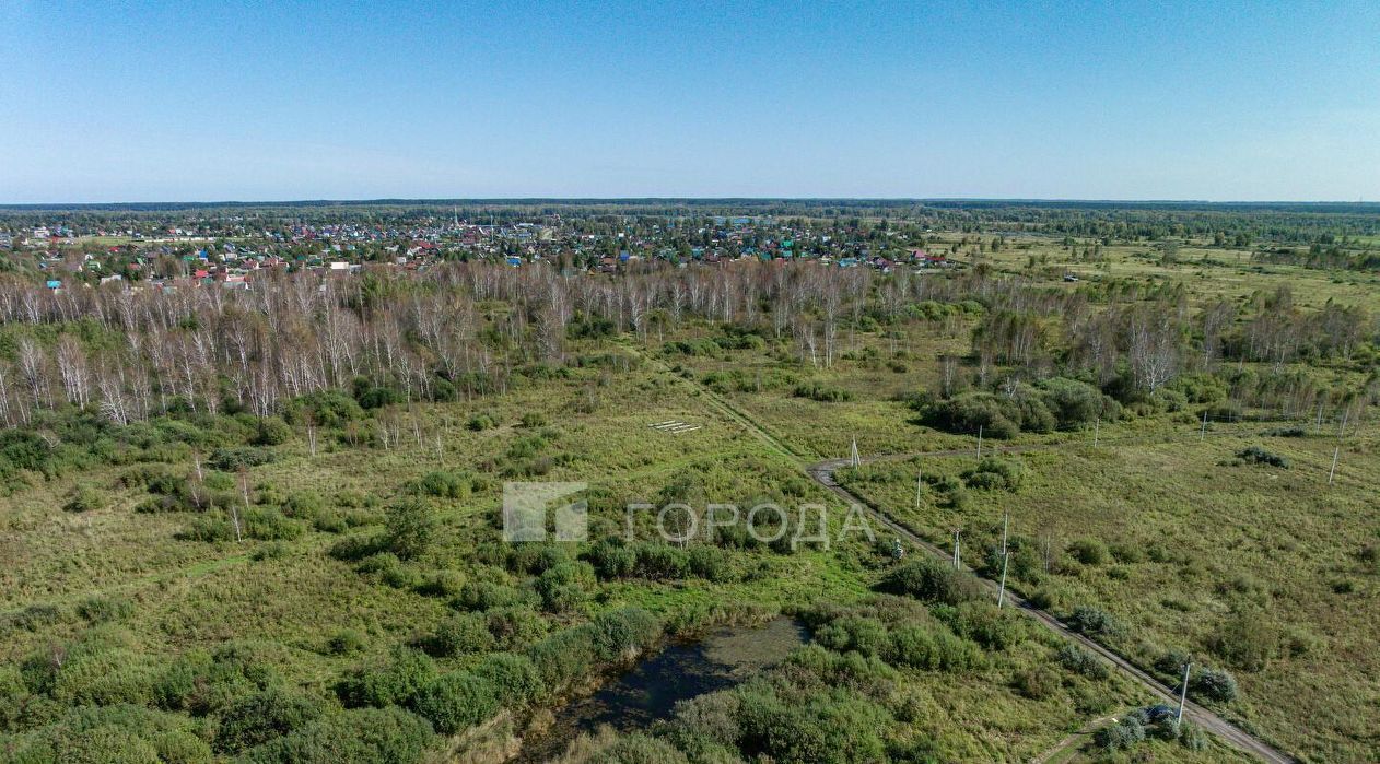 земля ДНТ, Коченевский район, Волна, ул. Весенняя фото 10