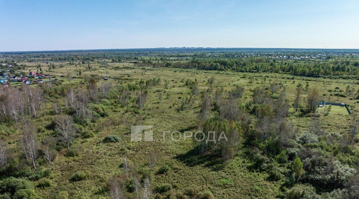 земля ДНТ, Коченевский район, Волна, ул. Весенняя фото 16