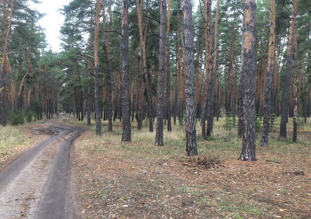 земля р-н Инжавинский рп Инжавино государственный природный заповедник Воронинский фото 18