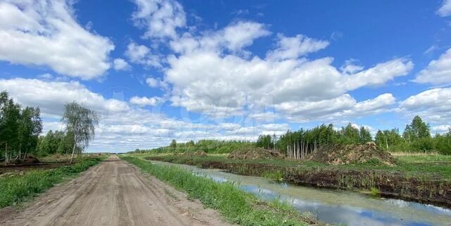 тракт Салаирский 14й километр, Тюменский р-н фото