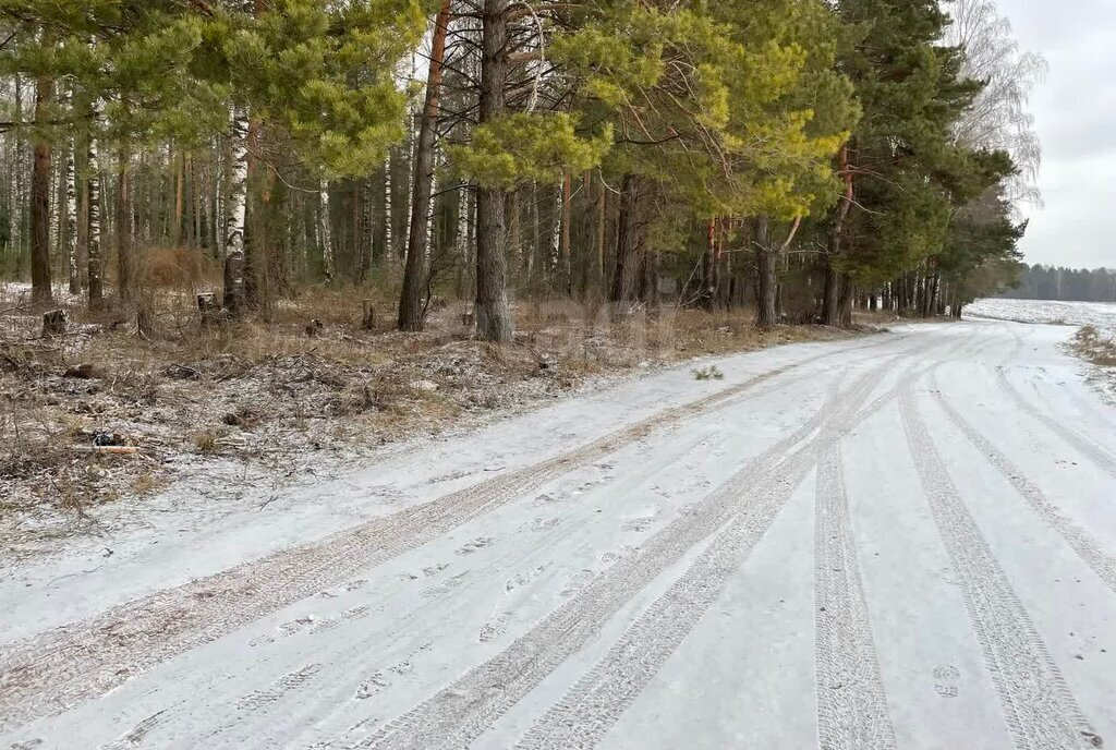 земля р-н Ковровский снт Чернево муниципальное образование Новосельское фото 4