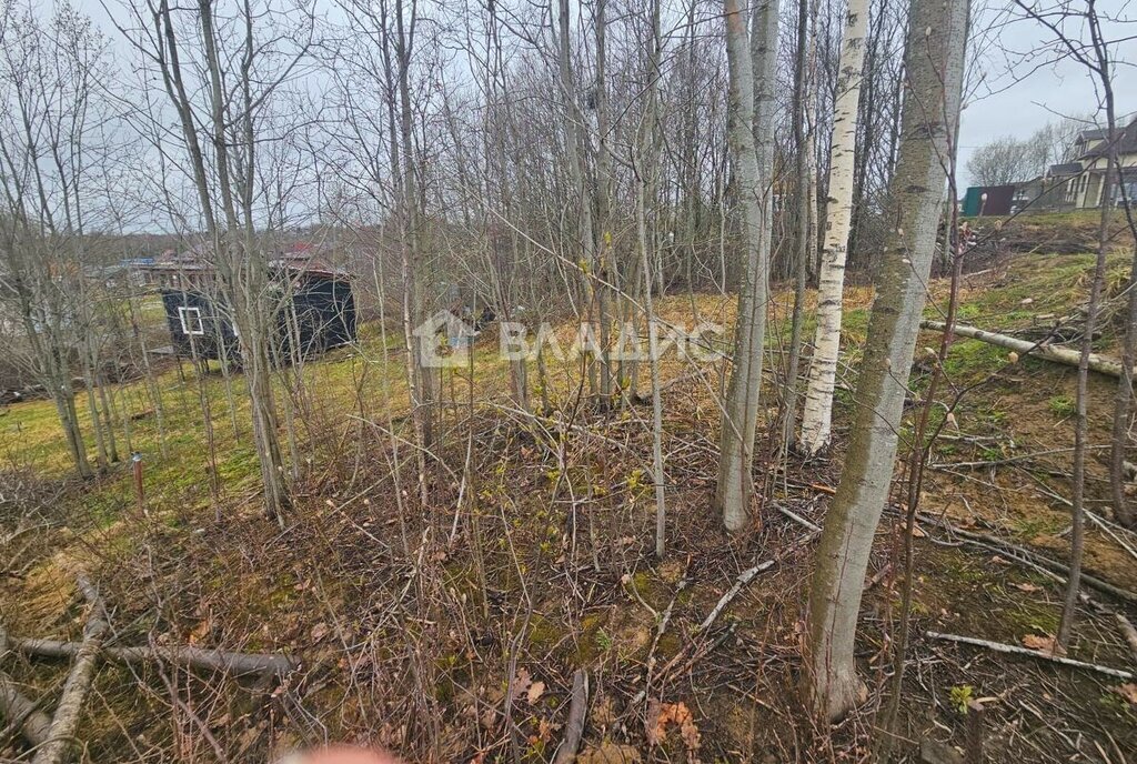 земля р-н Всеволожский массив Кискелово Лесколовское сельское поселение, Проспект Просвещения, коттеджный посёлок Солнечная равнина фото 3