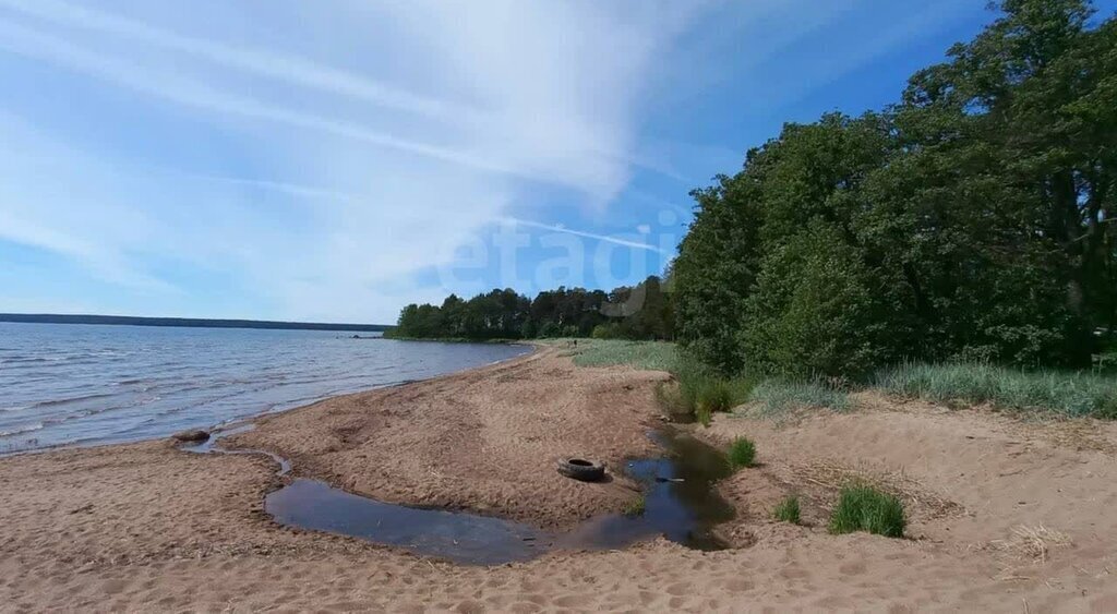 земля р-н Выборгский г Приморск пер Березовый фото 2