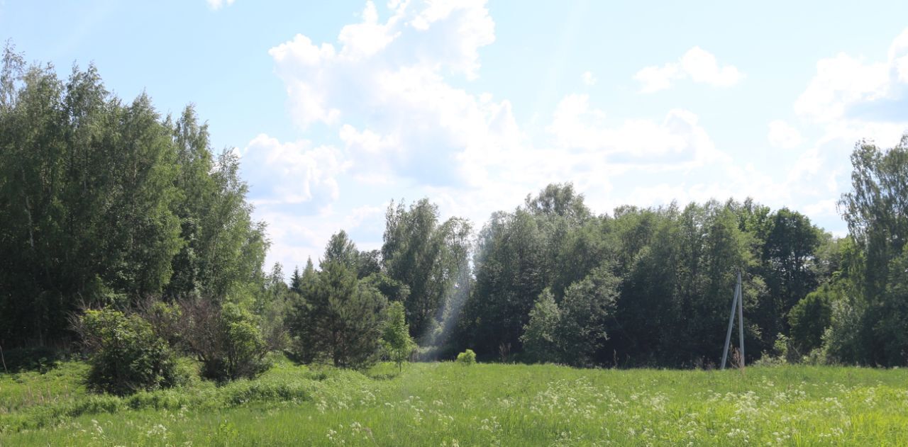 земля р-н Тосненский д Костуя ул Лесная 1 Любанское городское поселение фото 1